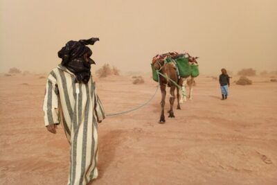4 days trek - The legs of camels - Camel legs and desert pace: planning for the physical part