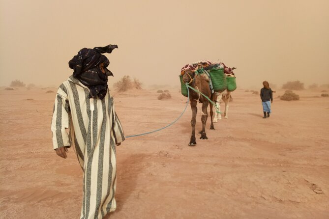 4 days trek - The legs of camels - Camel legs and desert pace: planning for the physical part