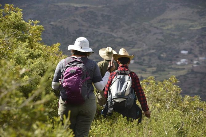4 days trekking in the Rif mountains - Day 2: Afaska’s rural house, and the trek that tests your legs