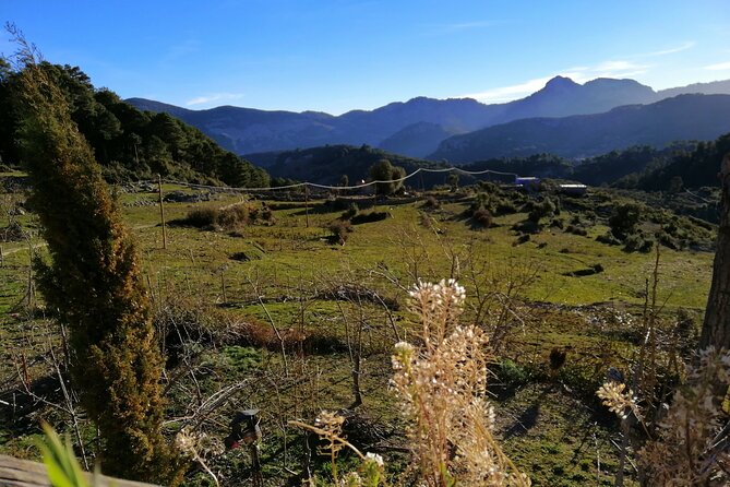 4 days trekking in the Rif mountains - Day 4: The panoramic finish back to Chefchaouen