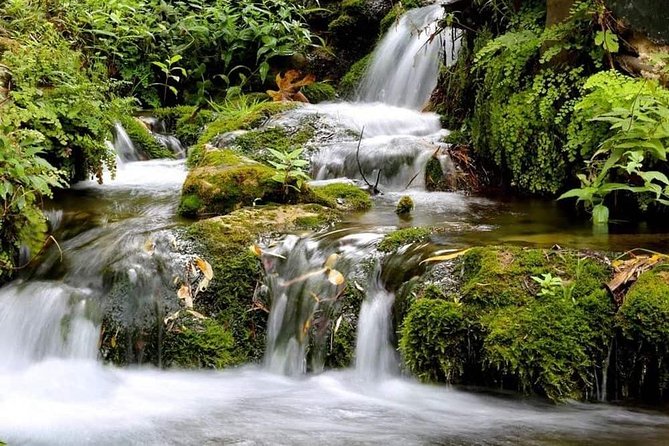 4 days trekking in the Rif mountains - Day 1: From the national park to Gîte Montagne Azilane