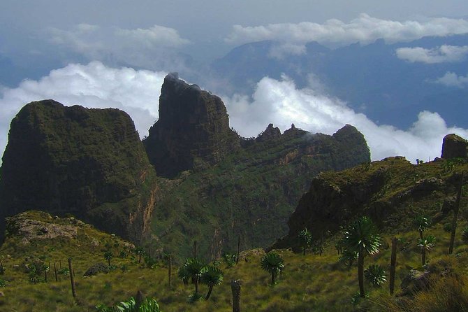 4 Days Trekking to Simien Mountain National Park - Service quality that matters on mountain days