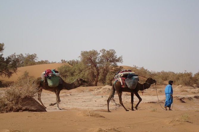 4 Days Trekking To The Heart Of Desert - Key points worth knowing before you go