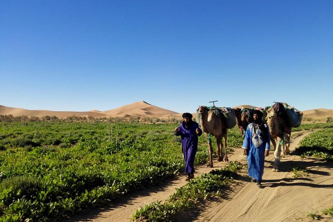 4 Days Trekking To The Heart Of Desert - Price and value: what $341.63 buys you in the Sahara