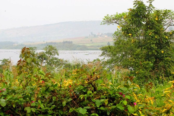 5 Day Gorillas, Wildlife and Kalinzu Forest Chimp Trek - Day 4 morning Kasenyi drive, then Kazinga Channel boat cruise