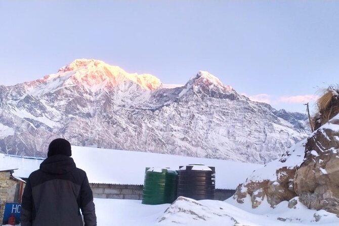 5 Day Mardi Himal Base Camp Trek in Pokhara - Day 2: Pitam Deurali to Low Camp via rhododendron and wildflowers