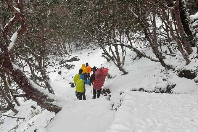 5 Day Mardi Himal Base Camp Trek in Pokhara - Day 3: Low Camp to High Camp, with Middle Camp along the way