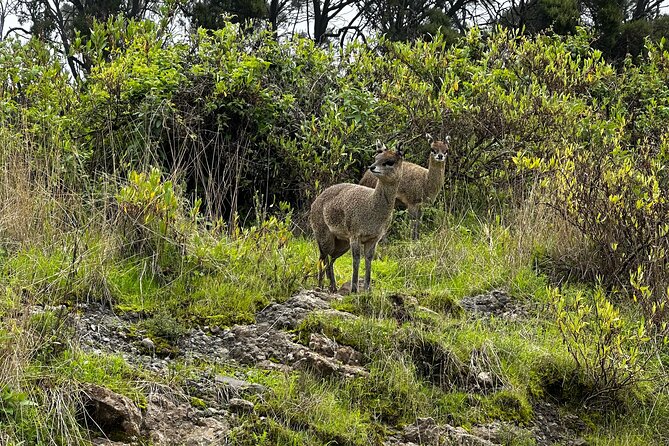 5-Day Northern Ethiopia Tour : 3D Simien Mountains Trek & Axum. - Weather and Packing Reality: The One Review Warning You Should Listen To