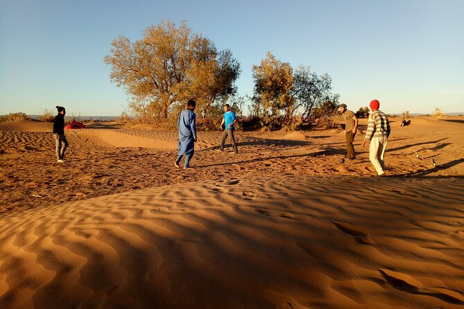 5-day trek - In the Draa Valley - Draa Valley Trek Basics: M’Hamid Start, Desert Door to a Wilder Kind of Quiet