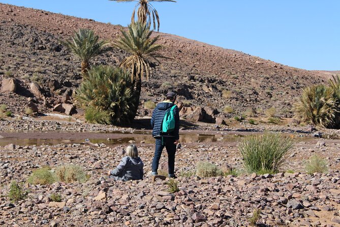 5-day trek - In the Draa Valley - Nomad Guides, Real Hospitality: What the Best Reviews Keep Coming Back To