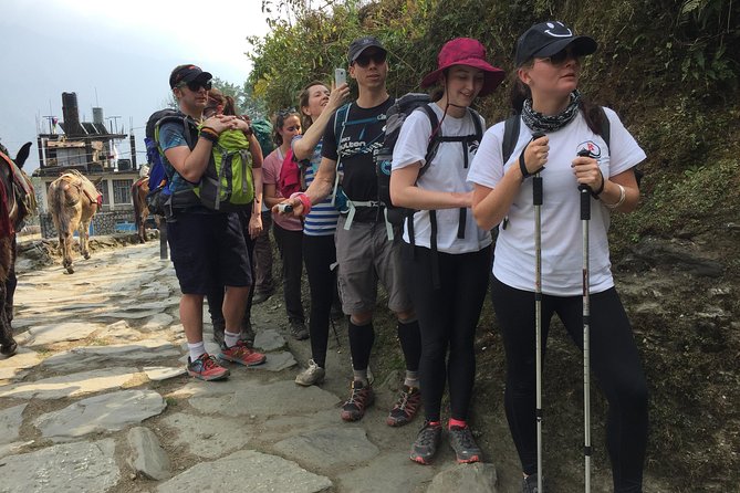 5 Days Annapurna Mountain View Trekking from Pokhara, Nepal - Why This 5-Day Annapurna Trek Works When You Have Limited Time