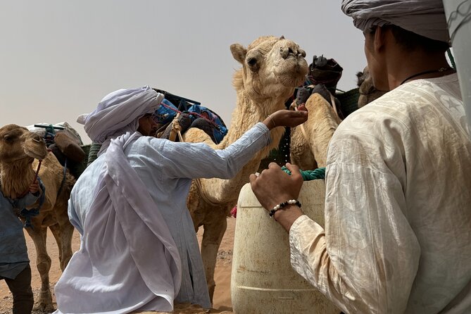 5 Days Desert Trekking from Marrakech - Price and Value: Is $569.33 Fair for What You Get?