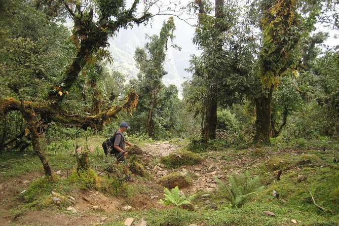 5 Days Mardi Himal Base Camp Trek - Lodges, Meals, and the Real Rhythm of Trekking Days
