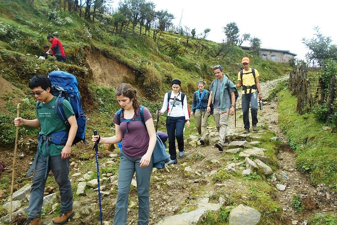 5-Days Singalila Ridge Trek in Darjeeling - Day 3: Phalut’s 21 km day and why it’s the toughest payoff