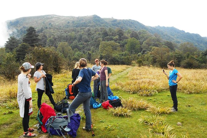 5-Days Singalila Ridge Trek in Darjeeling - Your 5-day route in plain terms (what you’re really signing up for)