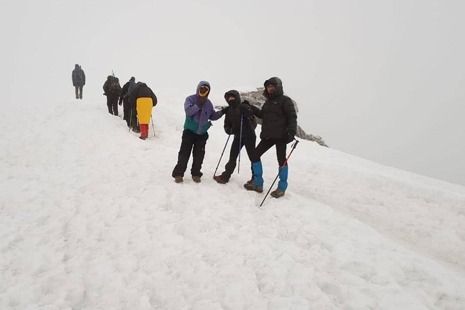 6-Day Kilimanjaro Machame Route – A Stunning Trek to Uhuru Peak - Guides, porter support, and the small details that matter