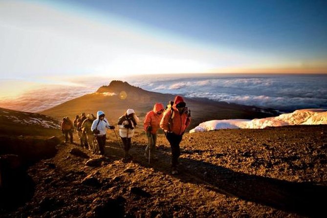 6-Day Kilimanjaro Machame Route – A Stunning Trek to Uhuru Peak - Day-by-day: Machame Gate, Shira Plateau, Barranco, Barafu