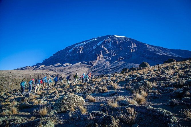 6-Day Rongai Route Trek in Mount Kilimanjaro - Day 1 and Day 2: Nale Moru farms to Kikelelwa Caves and first Kibo views