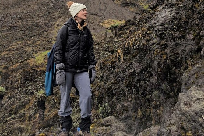 6-Day Rongai Route Trek in Mount Kilimanjaro - Day 3 and Day 4: Mawenzi Tarn Hut, grassy climbs, and the saddle’s lunar desert