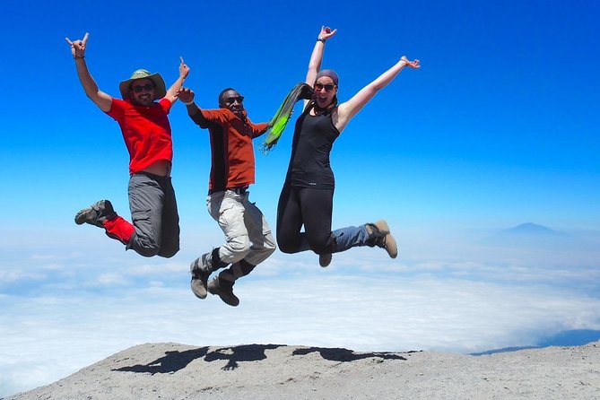 6-Day Rongai Route Trek in Mount Kilimanjaro - Day 6 descent through forest to Marangu Gate and back to Moshi