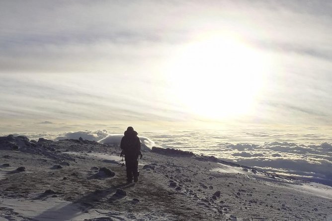 6-Day Rongai Route Trek in Mount Kilimanjaro - Price and value for $2,353: what’s covered, what costs extra
