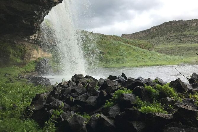 6 Days Bale Mountains Trekking - Day 3: Mararo Valley to Wasema, where eagles and Ethiopian Wolf are the headlines