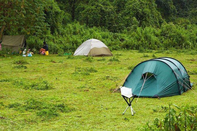 6 Days Bale Mountains Trekking - Day 4: The super-volcano and ice age clues behind the rocks