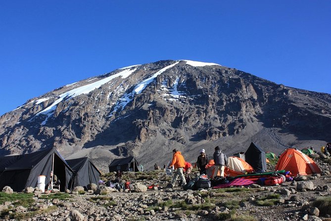 6 Days Machame Route Kilimanjaro Trekking - Key highlights worth getting excited about
