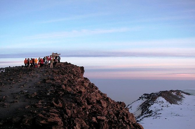 6 Days Mount Kilimanjaro Trek Marangu Route - Day 2: Mandara Hut to Horombo Hut and the First Real Altitude Wall