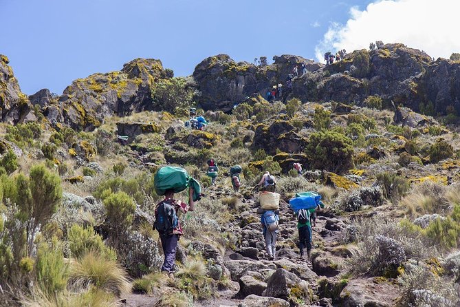 6 Days Mount Kilimanjaro Trek Marangu Route - Day 5: Midnight to Uhuru Peak with Hans Meyer Cave and Gillman’s Point