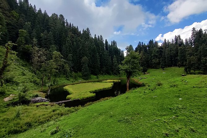 6 Days Phulara Ridge Trek - Day 1: Dehradun to Sankri through Govind National Park