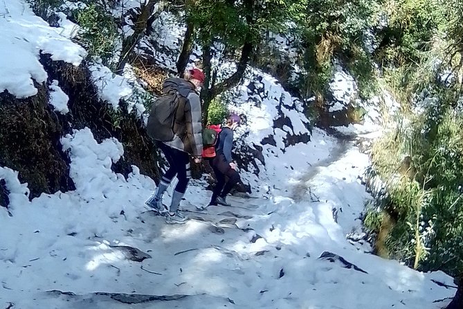 6 Days Poon Hill - Ghandruk Circuit Trek from Kathmandu - Key highlights that make this trek worth it