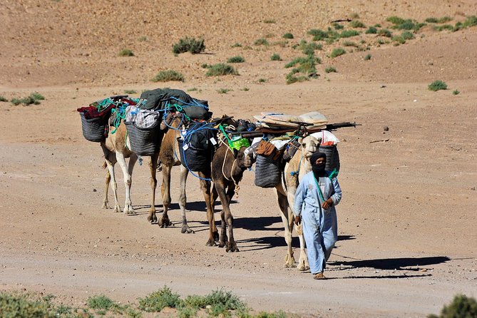 6 days trekking To The heart of Desert - Marrakech to M’Hamid: the trip starts with mountains and ends with silence