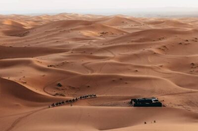 6 days trekking To The heart of Desert - M’Hamid to palm grove and Sidi Naji: your first desert day on foot