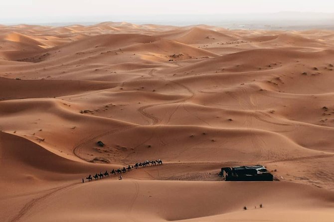 6 days trekking To The heart of Desert - M’Hamid to palm grove and Sidi Naji: your first desert day on foot