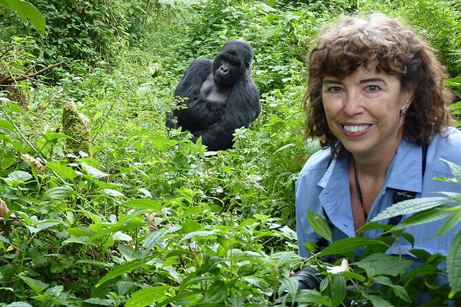 6 Days Uganda Gorilla, Chimps Trekking and Wildlife Safari - Day 1: Entebbe arrival transfer so you start calm