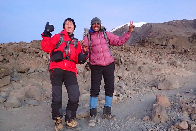 7-Day Kilimanjaro Trekking Tour via Machame Route - Moshi start: airport pickup and the calm before the climb