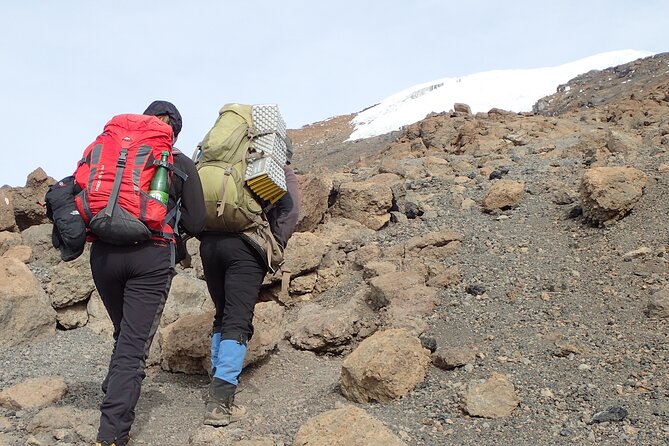 7-Day Kilimanjaro Trekking Tour via Machame Route - Should you book this Machame 7-day trek?