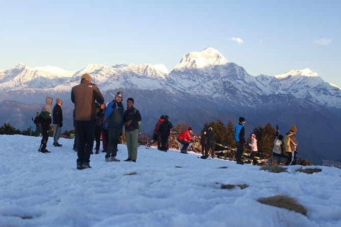 7-Day Trek to Annapurna Base Camp from Pokhara - Day 5 Down to Bamboo: Decent Trail, Careful Descent
