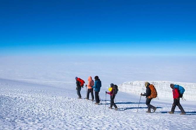 7 Day Trek To The Roof Of Africa Kilimanjaro via Machame Route - Moshi base camp: airport pickup and a real hotel bed