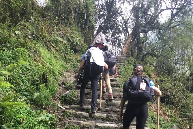 7 Days Annapurna Base Camp Trek from Pokhara - From Pokhara to the trailhead: less hassle, more walking