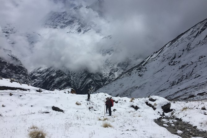 7 Days Annapurna Base Camp Trek from Pokhara - Views, suspension bridges, and Gurung village life