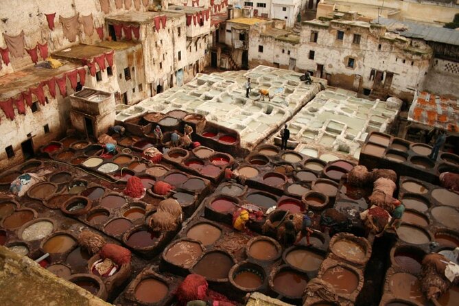 7-days: Casablanca to Chefchaouen then Fes and Sahara Desert - Camel Trekking - Key things I’d circle before you book