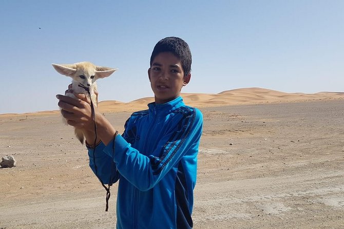 7-days: Casablanca to Chefchaouen then Fes and Sahara Desert - Camel Trekking - Todra Gorge: the Grand Canyon feeling and why the rug stop is more than shopping