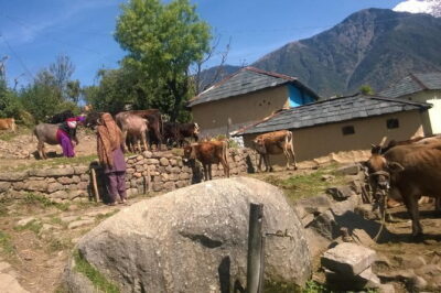 7 Days Dharamsala - Dalai Lama home Trek - Day 2 to Satobari Village: Pine Forest Descent and Your First Trail Rhythm