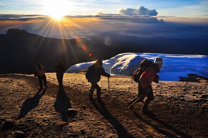 7 Days Kilimanjaro trek via Machame route - Key Highlights to Expect