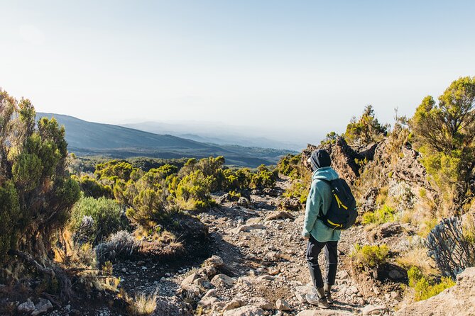 7 Days Kilimanjaro trek via Machame route - Day 3: Acclimatization Day to Barranco Camp (and Lava Tower as a Bonus)