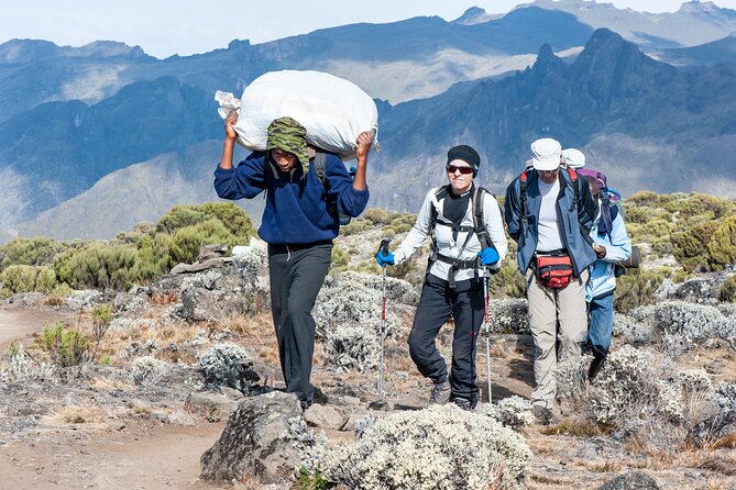 7 Days Kilimanjaro trek via Machame route - Day 5: Barafu Camp, Glaciers in View, and the Midnight Wake-Up Plan