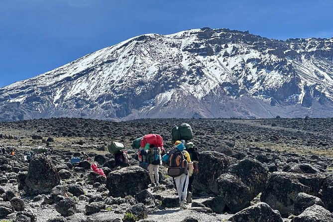 7 Days Kilimanjaro Trekking Machame Route - Key Highlights Before You Go