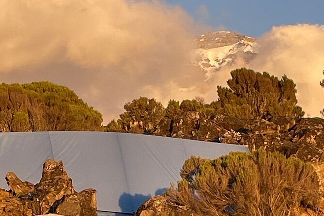 7 Days Kilimanjaro Trekking Machame Route - First Day Into the Montane Forest: Machame Gate to Machame Campsite